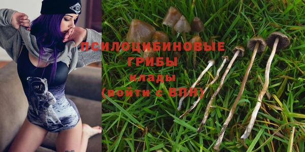 прущие крисы Верхний Тагил