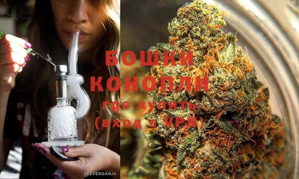 тгк Бородино