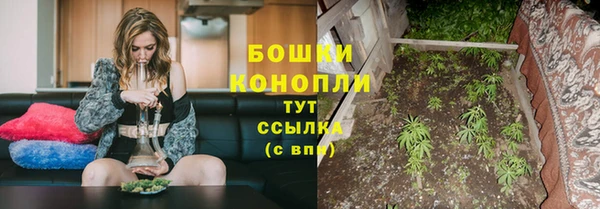 прущие крисы Верхний Тагил