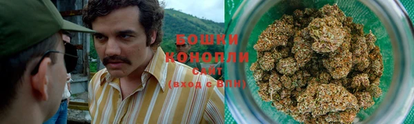 прущие грибы Бугульма