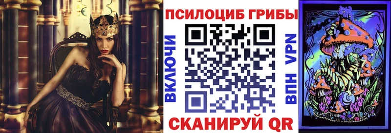 наркошоп  Верхний Уфалей  Псилоцибиновые грибы GOLDEN TEACHER 